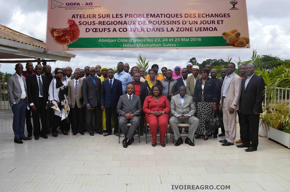 06/06/16 Filière avicole dans l’UEMOA : Les experts de l’UOFA proposent des solutions